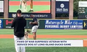 Paws of War - Dog on Baseball field with new owner